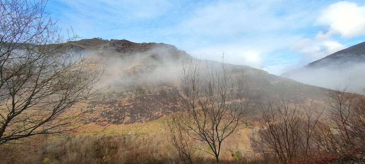 WhatsApp Image 2026-03-08 at 21.27.45